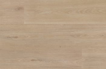 PT60748G8ML2M - Daltile ProSeries - Pines Terrace 2.0mm 8 mil - Sugar
