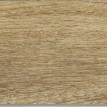AD36648CLVT1P - Daltile ProSeries - Adventuro - Explorer