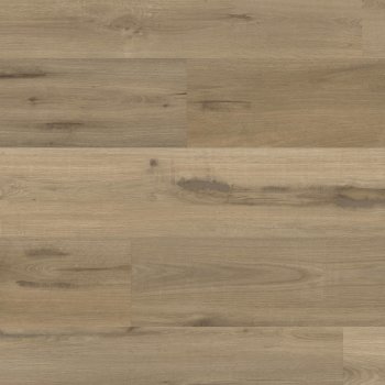 WP425 - swatch