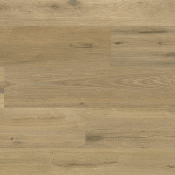 WP426 - Steen Oak