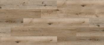 REOR2305 - Sessile Oak