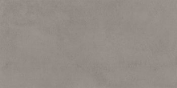 PF056241P1 - swatch
