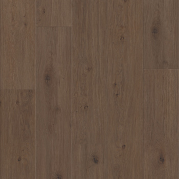 00935-3415V - Shaw Floorte Pro - Fresh Take - Tuxedo Bronze