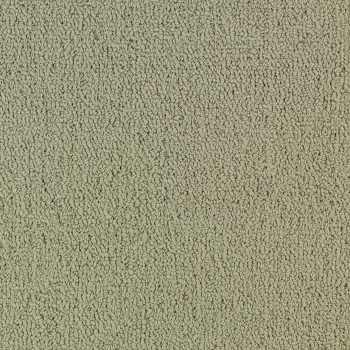 54462_62104 - Philadelphia Contract - Color Accents - Light Taupe