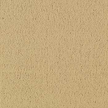 54462_62122 - swatch