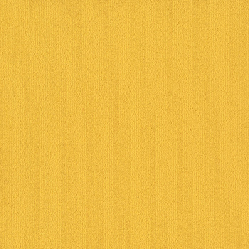 54462_62201 - swatch