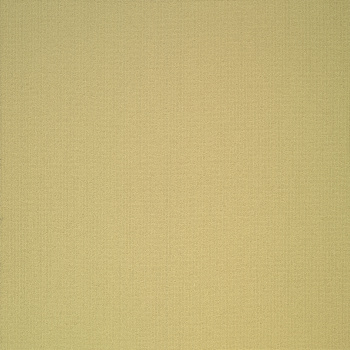 54462_62255 - swatch