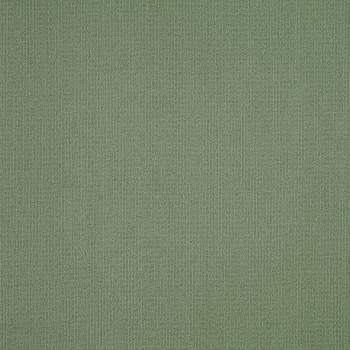 54462_62310 - swatch