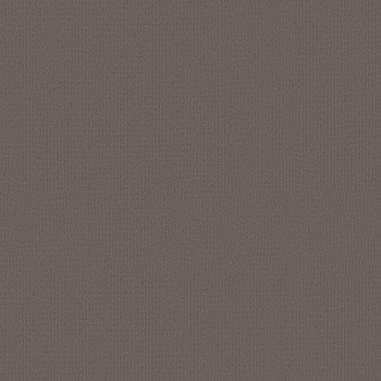 54462_62557 - swatch