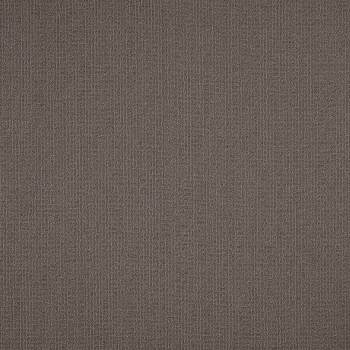 54462_62760 - swatch