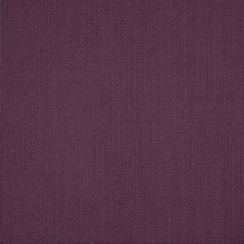 54462_62979 - swatch