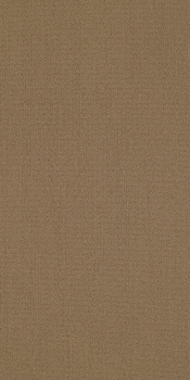 54786_62150 - Philadelphia Contract - Color Accents 18 X 36 - Tobacco
