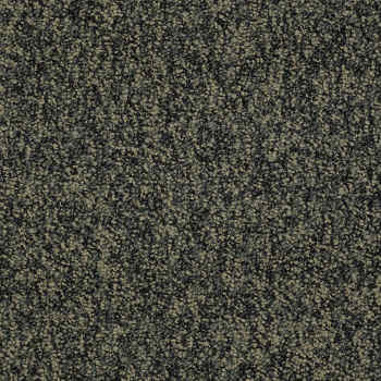 J0108_69300 - Main Street by Philadelphia - No Limits Tile - Boundless