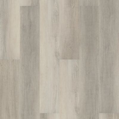 VV488-02096 - COREtec Pro - Premium 9" - Cambridge Elm