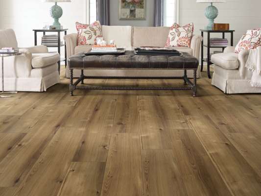 06000_2008V - Shaw - Allegiance Plus Accent - Barnwell Hickory