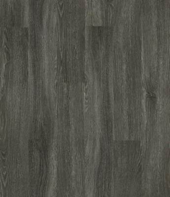 00564_5M304 - Shaw 5th and Main - Symbiotic 30 - Carbon