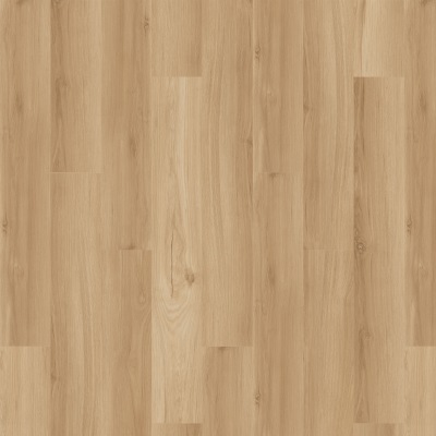 SDE03-207 - Mohawk SolidTech Essentials - Arbor Terrace - Ellis
