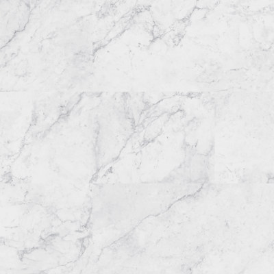 VTRCARAVE12X24-5MM-12MIL - MSI Everlife - Trecento - Carrara Avell