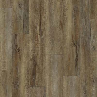 00709_2031V - Shaw Floorte Pro - Impact Plus - Modeled Oak