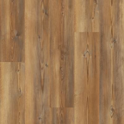 06058-3059V - Shaw Floorte Pro - Dockside - Blake's Landing