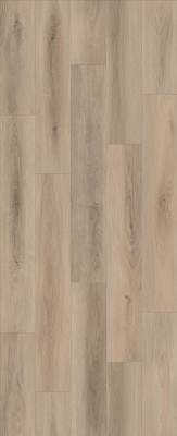 LI-CH10 - Lions Floor - Comfort Heights - Cedar View