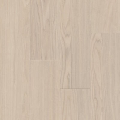 P1057-D4711 - TRUCOR - Bravo - Adalbero Ash