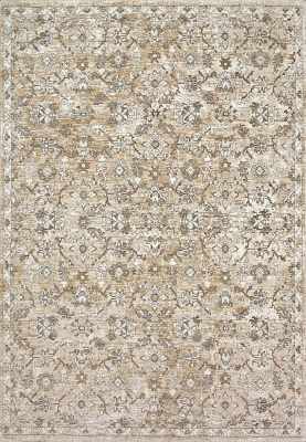 OC356902199 - Dynamic Rugs - OCTO - Cream Multi 6902-199 - 2.7' x 4.11'