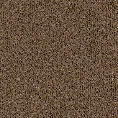 2B136-862 - Aladdin Commercial - Color Pop 12 x 36 - Tree Bark