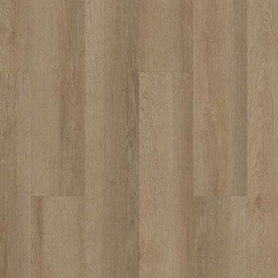 02027-3100V - Shaw Floorte Pro - Infinite SPC - Grand Canyon