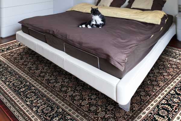 BRILLIANT - Red 72240-330 - Dynamic Rugs - BRILLIANT - Red 72240-330