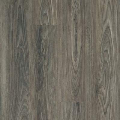00915_5M402 - Shaw 5th and Main - Setup - Dark Elm