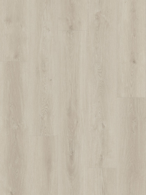 LI-CH04 - Lions Floor - Comfort Heights - Boardwalk Court