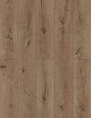 LI-TS205 - Lions Floor - Lone Star Spirit XL SPC - Forgotten Bark