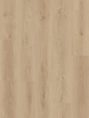 LI-CH02 - Lions Floor - Comfort Heights - Baywood Place