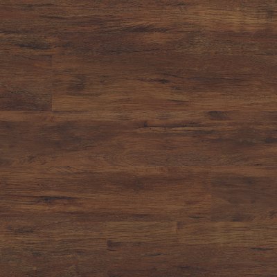 VTRBRALY7X48-6.5MM-20MIL - MSI Everlife - Prescott - Braly