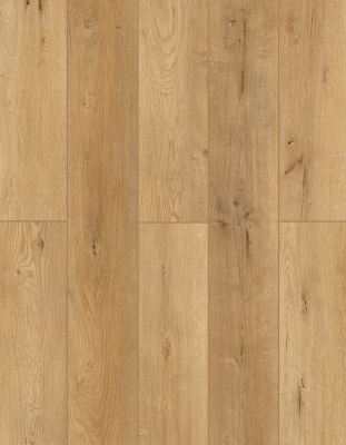 BB-XII - Lions Floor - Bambino SPC - Naples Parfum