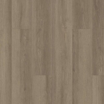 07192-3100V - Shaw Floorte Pro - Infinite SPC - Vista