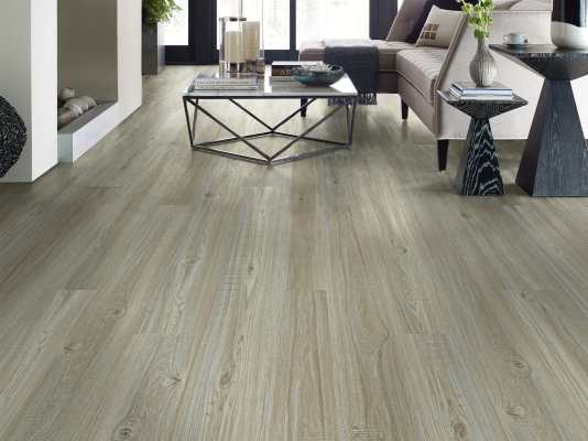 00509_2031V - Shaw Floorte Pro - Impact Plus - Washed Oak