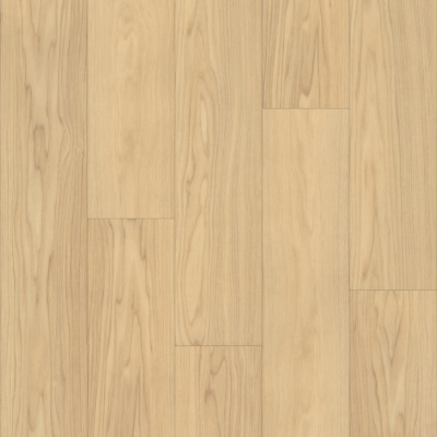 P1057-D1395 - TRUCOR - Bravo - Smooth Ash
