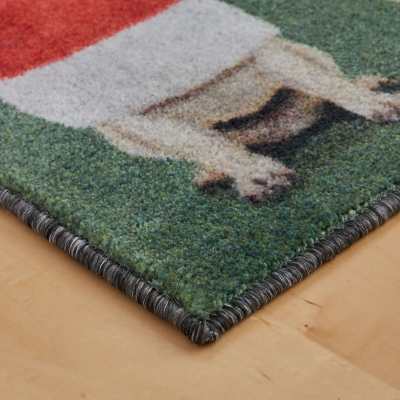 Prismatic - Santa Paws Multi ZW009-A416 swatch