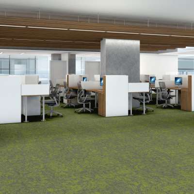 54848_00315 - Philadelphia Contract - Modern Terrain - Arid - Taiga