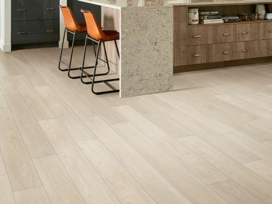 01055_0278V - Shaw Floorte Pro - Paladin Plus - Silver Dollar