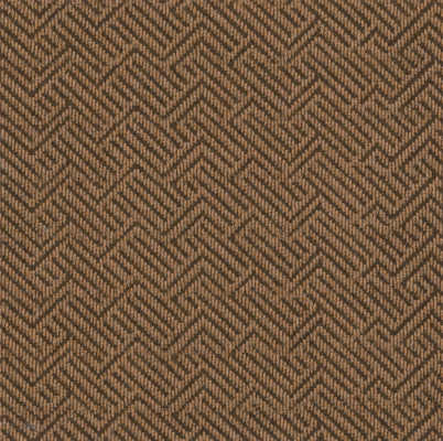 54749_00701 - Philadelphia Contract - Indoor Outdoor Collection - Tread On Me - Mesa Brown