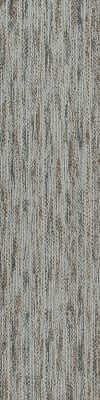 54833_33503 - Philadelphia Contract - Natural Formations - Layers - Pyrite