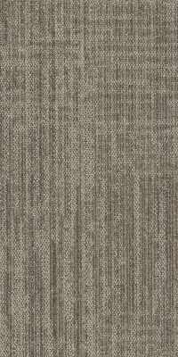 54843_00100 - Philadelphia Contract - Beyond Basic - Raw Beauty - Savvy