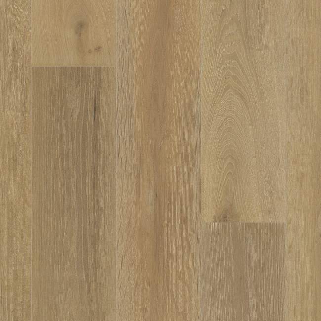 WO901-F1645 - Fabrica - Bordeaux - Mocha