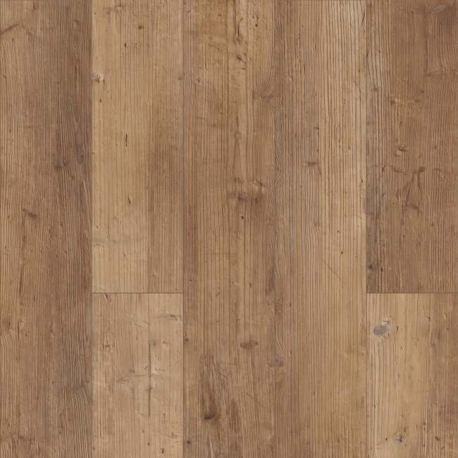 00690_1019V - Shaw Floorte Pro - Paragon 5" Plus - Touch Pine