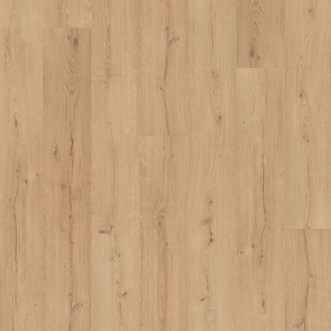SDP50-409 - Mohawk SolidTech Premier - Saltgrass Springs - Ryder