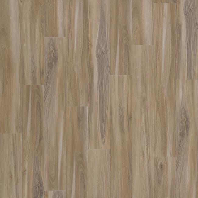ECS21-382 - Mohawk SolidTech Select - Explorer's Cove - Sandy Valley