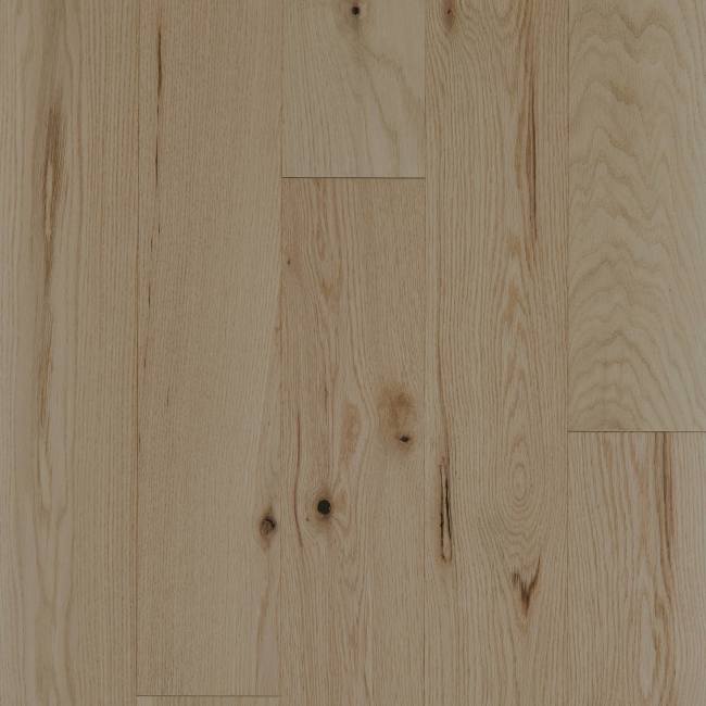SW713-02055 - Shaw Epic Repel - Exploration Oak - Horizon